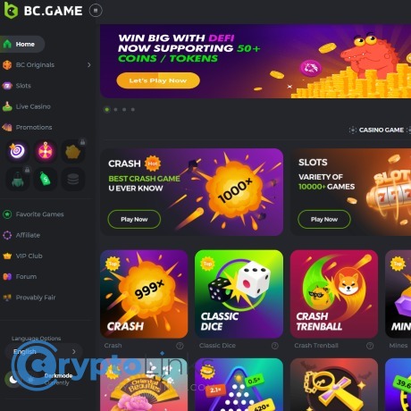 Understanding the BC.Game US Login Problem Causes and Solutions -756425589 Understanding the BC.Game US Login Problem Causes and Solutions -756425589
